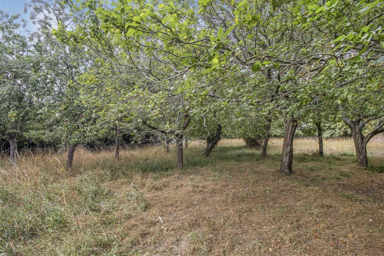 Images for Steeplechase, Hundon, Sudbury