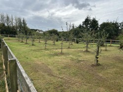 Images for Chittlehamholt