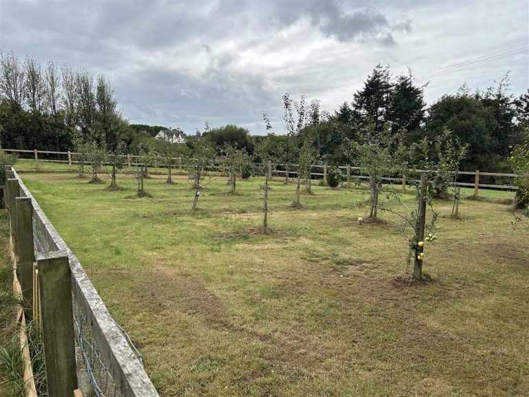 Images for Chittlehamholt