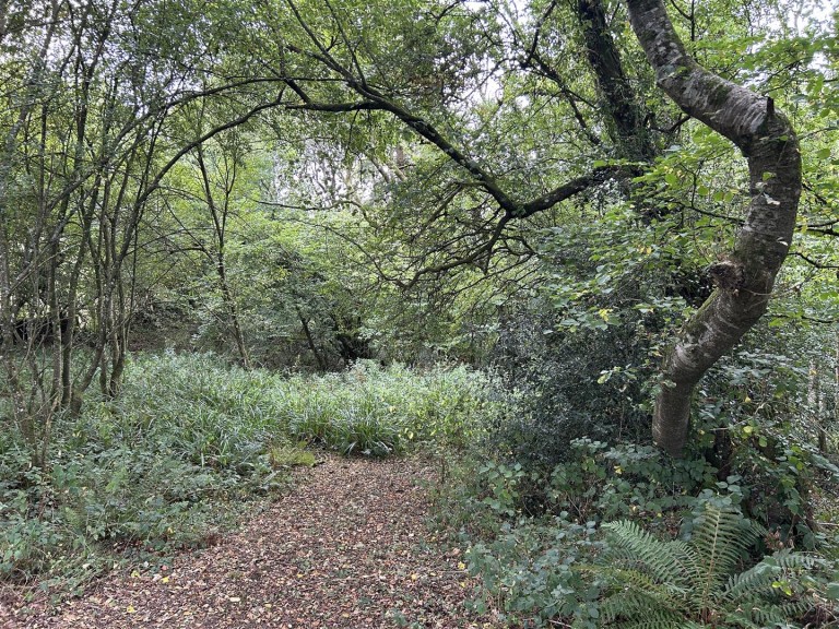 Images for Chittlehamholt