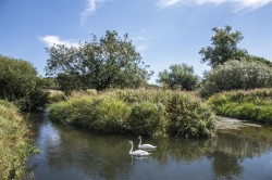 Images for Water Meadow at Cruxton Manor Farm, Maiden Newton, Dorchester