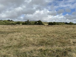 Images for Water Meadow at Cruxton Manor Farm, Maiden Newton, Dorchester