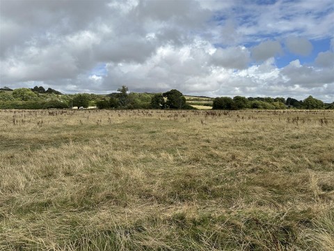 Click the photo for more details of Water Meadow at Cruxton Manor Farm, Maiden Newton, Dorchester