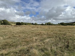 Images for Water Meadow at Cruxton Manor Farm, Maiden Newton, Dorchester