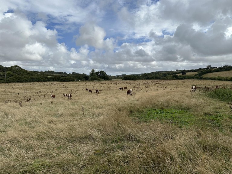 Images for Water Meadow & Grain Store, Cruxton Manor Farm, Maiden Newton, Dorchester