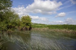 Images for Newington, Wallingford