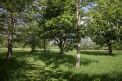 Images for Newington, Wallingford