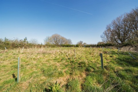 Click the photo for more details of Tin Pot Lane, Blandford Forum