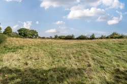 Images for Bridport