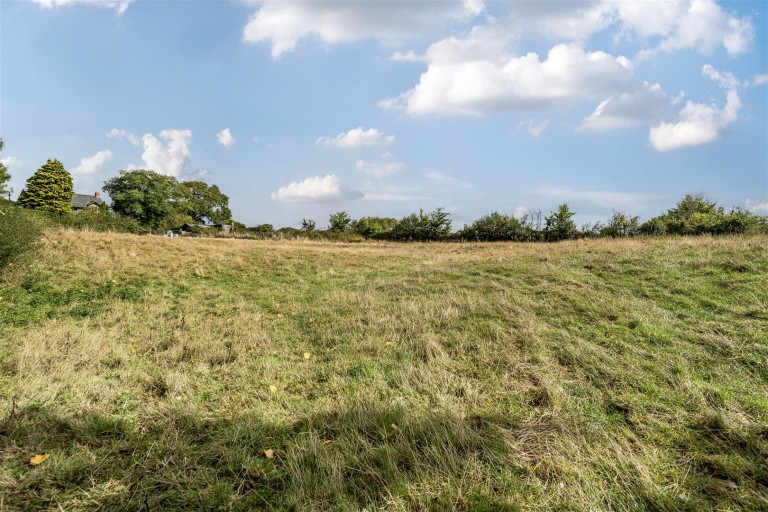 Images for Bridport