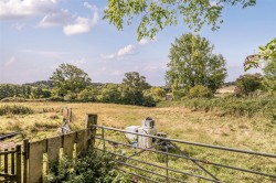 Images for Bridport