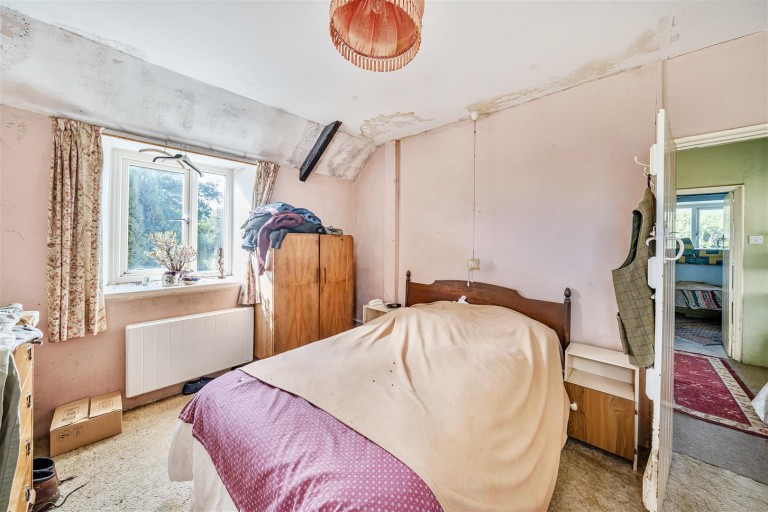 Images for Bridport