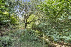 Images for Lyme Road, Axminster