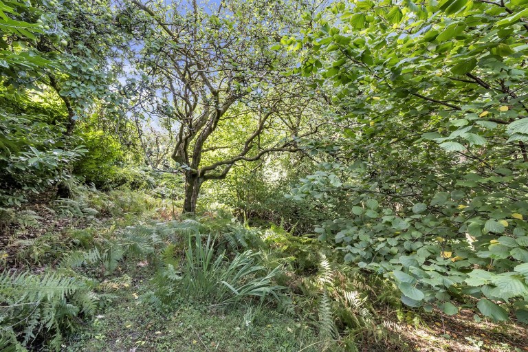 Images for Lyme Road, Axminster