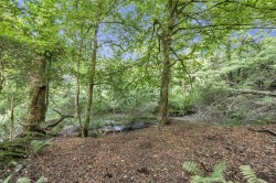 Images for Lyme Road, Axminster