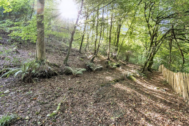 Images for Lyme Road, Axminster