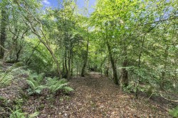 Images for Lyme Road, Axminster