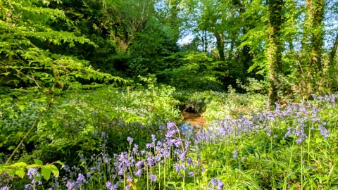 Click the photo for more details of Slade lane, Abbotskerswell, Newton Abbot