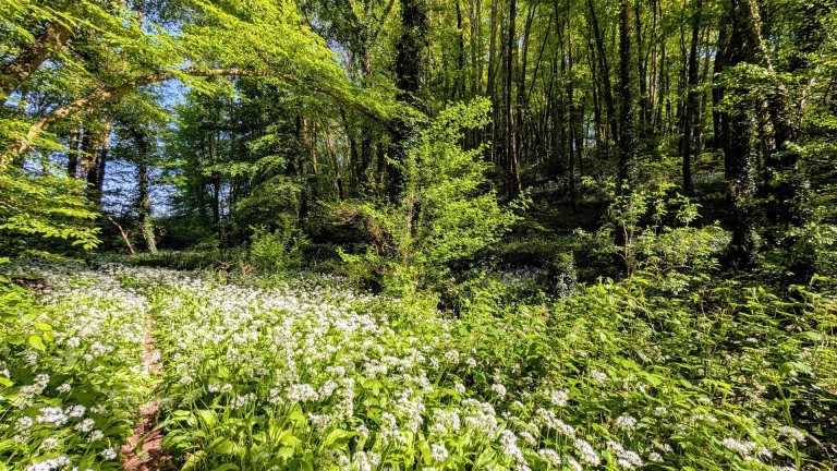 Images for Slade lane, Abbotskerswell, Newton Abbot