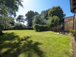 Images for Notton