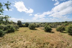 Images for Harrowbarrow