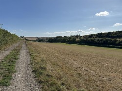 Images for Land & Buildings at White Lackington, Piddletrenthide, Dorchester