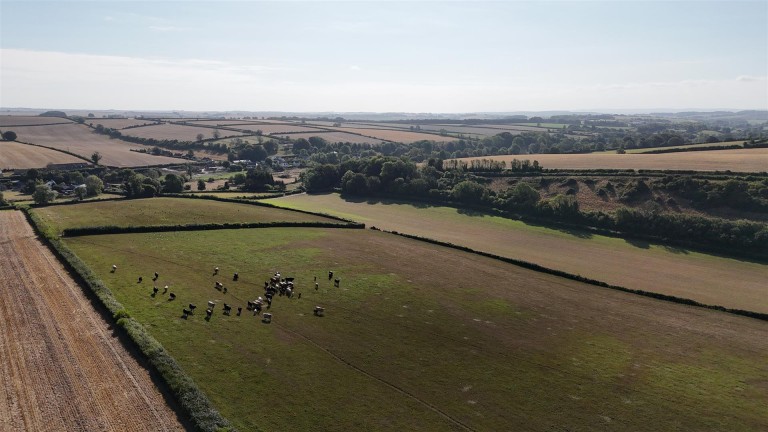 Images for Land & Buildings at White Lackington, Piddletrenthide, Dorchester