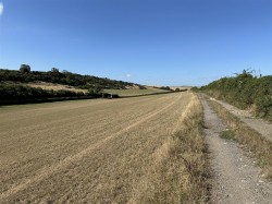 Images for Land & Buildings at White Lackington, Piddletrenthide, Dorchester