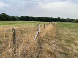 Images for Horton Road, Woodlands, Wimborne