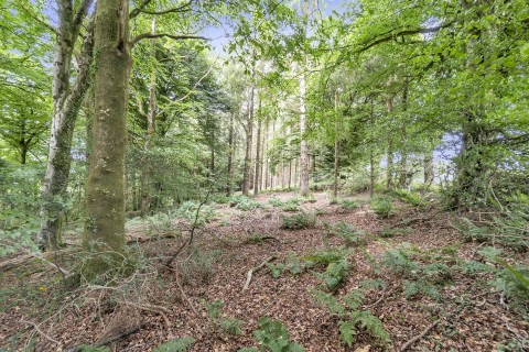 Click the photo for more details of Cotleigh, Honiton