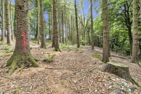 Click the photo for more details of Cotleigh, Honiton