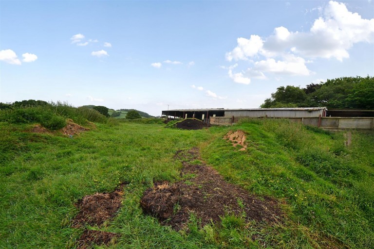 Images for Neopardy, Crediton