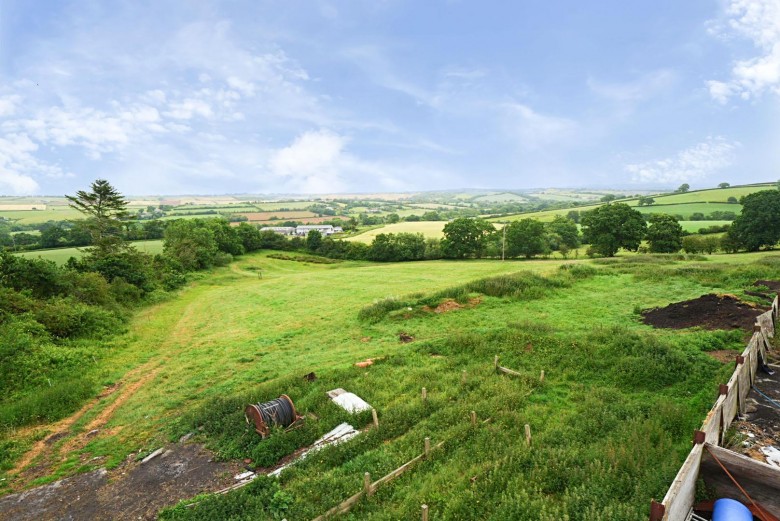 Click the photo for more details of Neopardy, Crediton