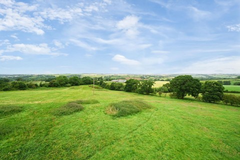 Click the photo for more details of Neopardy, Crediton