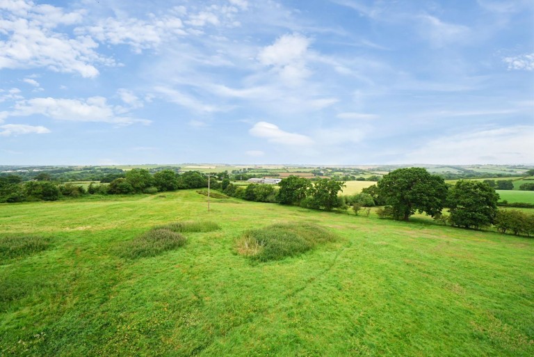 Images for Neopardy, Crediton