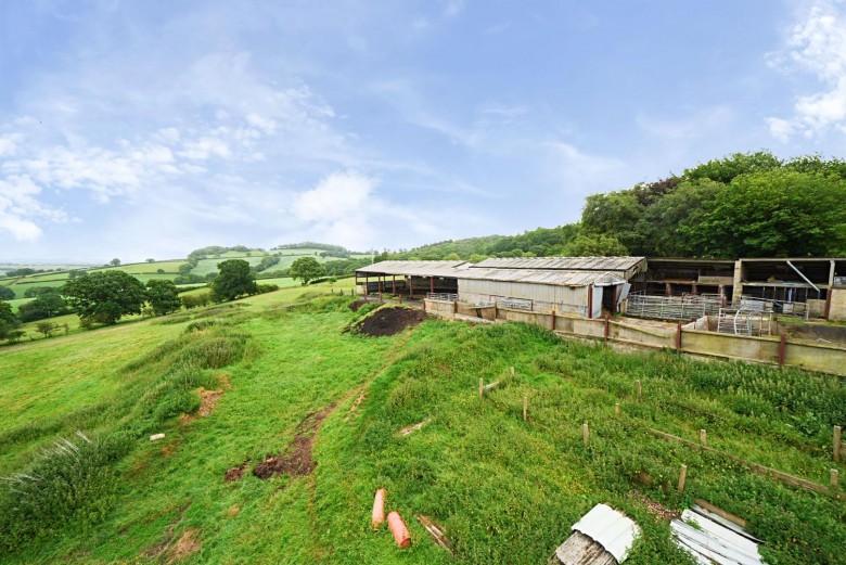 Click the photo for more details of Neopardy, Crediton