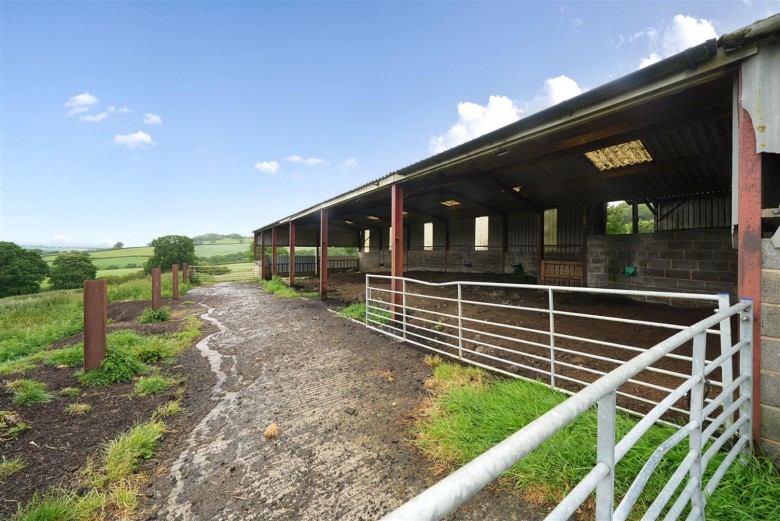 Click the photo for more details of Neopardy, Crediton