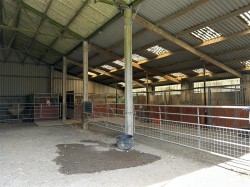 Images for Swimbridge