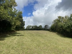 Images for Land at Pineapple Lane, Waytown, Bridport