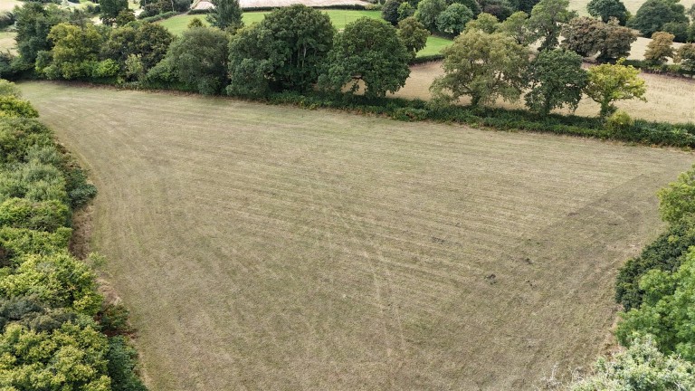 Images for Land at Pineapple Lane, Waytown, Bridport