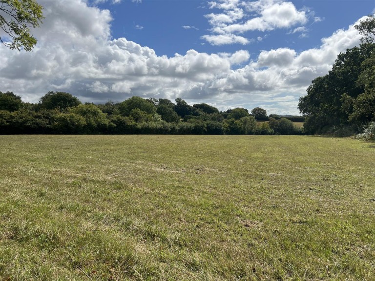 Images for Land at Pineapple Lane, Waytown, Bridport