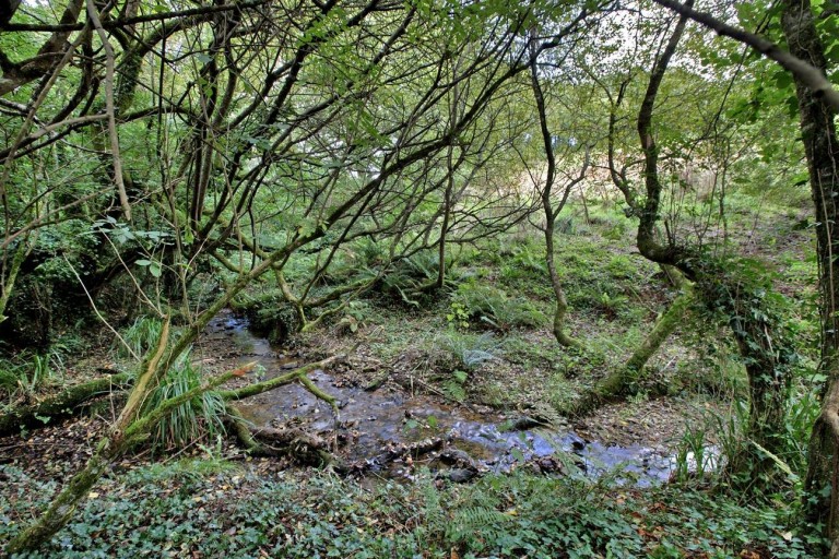 Images for Blackawton, Totnes