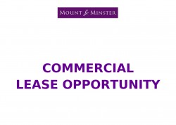 Images for Main Street, Hackthorn, Lincoln