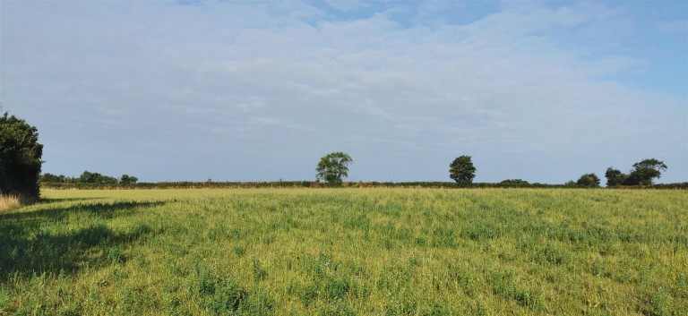 Images for Denham Bridge Road, Bere Alston