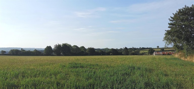 Images for Denham Bridge Road, Bere Alston