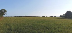 Images for Denham Bridge Road, Bere Alston
