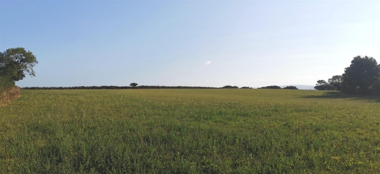 Images for Denham Bridge Road, Bere Alston