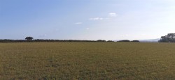 Images for Denham Bridge Road, Bere Alston