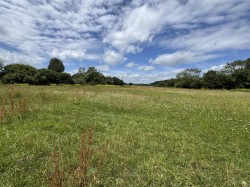 Images for West Parley