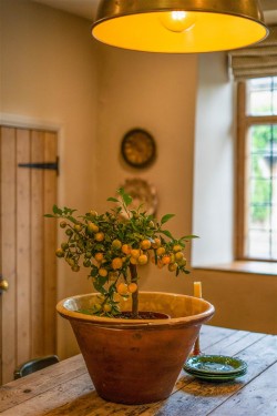 Images for Sandford St Martin, Oxfordshire